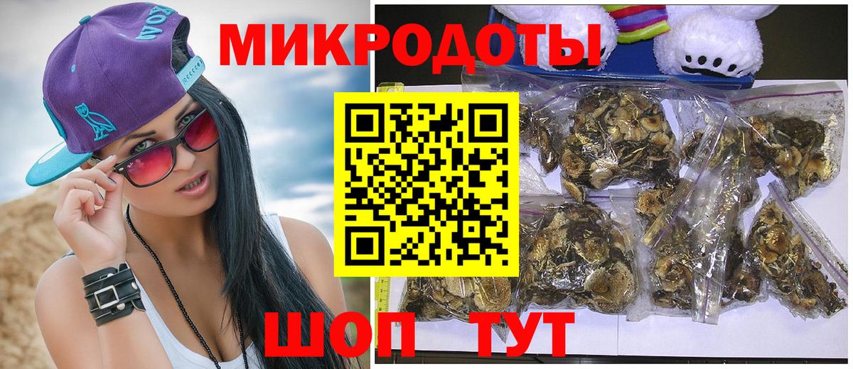 Туймазы  Псилоцибиновые грибы Cubensis  Вход с VPN 